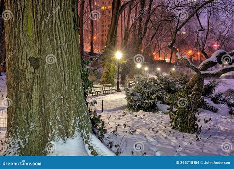 Central Park in Winter Snow Storm Stock Photo - Image of island ...