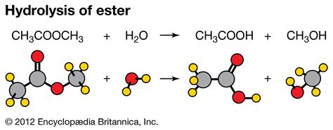 write net ionic equations for the hydrolysis reaction of f−