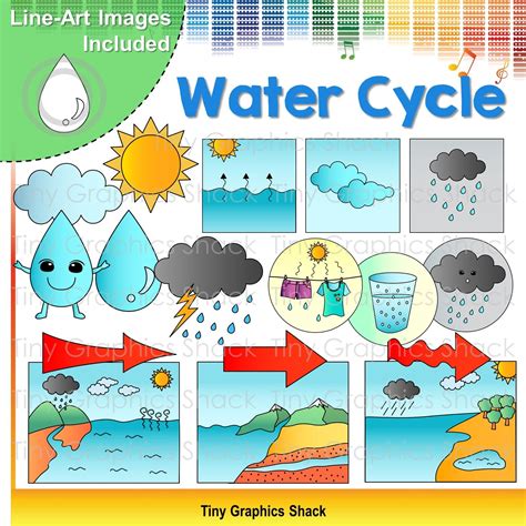 Water Cycle Clip Art | Hydroponics, Line art images, Hydroponics diy