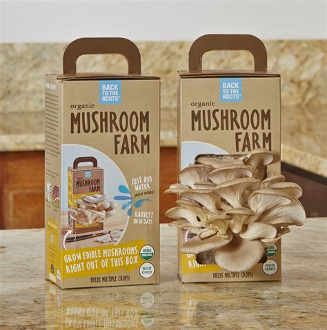 Best Mushroom Grow Kits - Urban Turnip