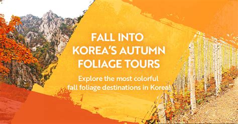 2024 Autumn/Fall Foliage Tours in Korea