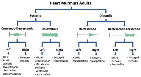 Aortic Stenosis Murmur Grading