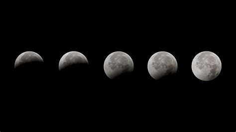 Wallpaper : moon phases, space art, Moon, simple background 2560x1440 ...