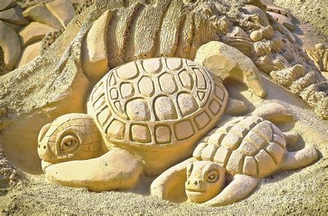 Turtle Sand Castle Sculpture on the Beach 999 Photograph by Ricardos ...