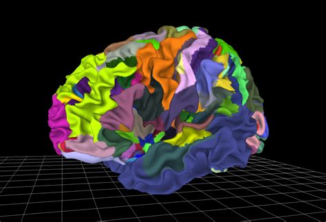 Multilevel brain atlases provide tools for better diagnosis of ...