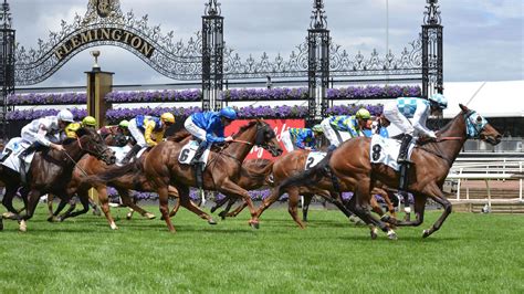 Melbourne Cup 2024 Horses And Jockeys Riding - Merle Janenna