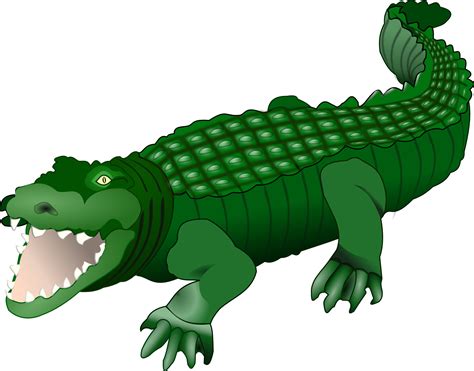 Clipart alligator cocodrilo, Clipart alligator cocodrilo Transparent ...