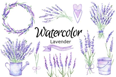 Lavender Watercolor Clip Art Graphic by goodfairyclipart · Creative Fabrica