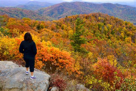 Vote - Shenandoah Valley - Best Destination for Fall Foliage Nominee ...