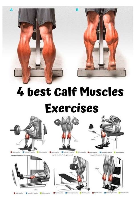 The Best 10 Calf Workouts For Men - inimageright