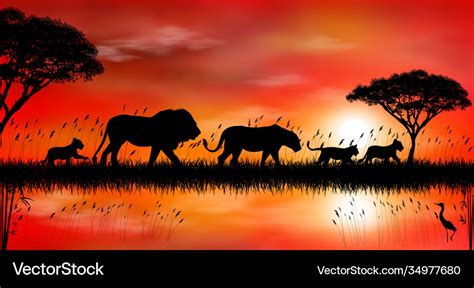 African Grasslands Sunset