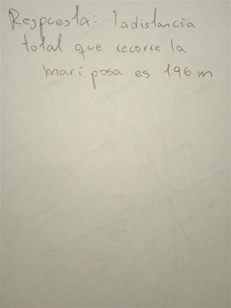 Solved: 2. Una mariposa vuela en linea recta hacia el sur co[algebra ...