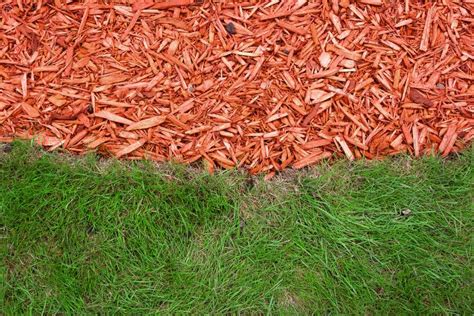 Gorgeous Mulch Options for Garden & Landscapes!