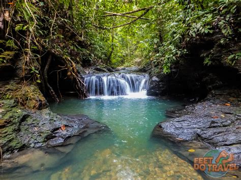 Brunei Jungle - Primary Rainforest Paradise - FeetDoTravel