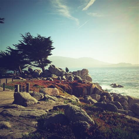 Pebble Beach 17 Mile Drive | Monterey peninsula, Places to travel ...