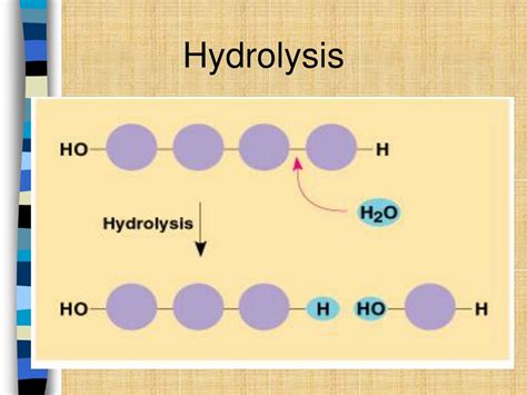 PPT - Biochemistry PowerPoint Presentation, free download - ID:9134641