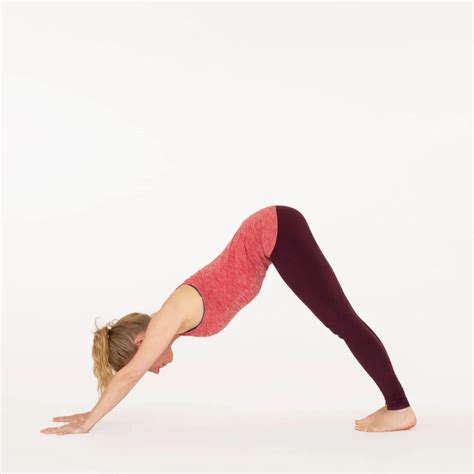 What Are The Benefits Of Adho Mukha Svanasana - Startisanat