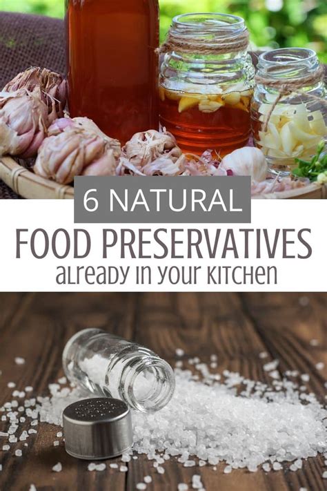 Natural Food Preservatives - Rootsy Network