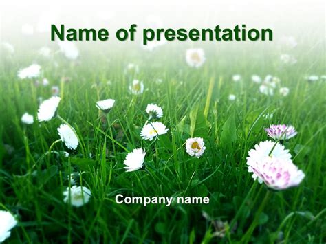 Download free Summer Flowers powerpoint template for presentation | My ...