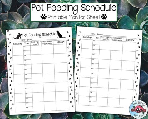 Printable Pet Feeding Schedule | ubicaciondepersonas.cdmx.gob.mx