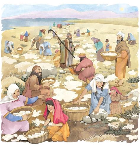 More Manna | Bible pictures, Bible for kids, Bible illustrations