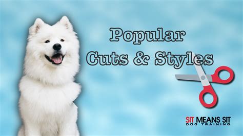 The Most Popular Dog Grooming Cuts & Styles | Sit Means Sit San Gabriel ...