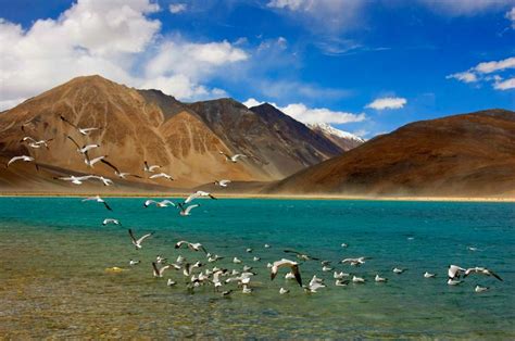 5 Places You Should Definitely Visit On Your Leh- Ladakh Trip - Via.com ...