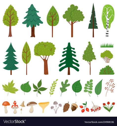 Forest trees woodland tree wild berries plants Vector Image