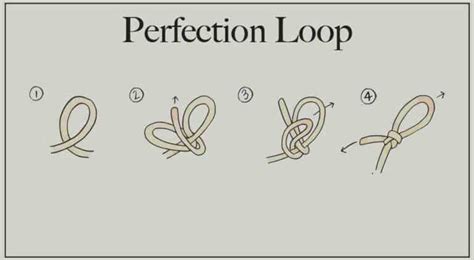 How To Tie The Perfection Loop Knot - Survival World