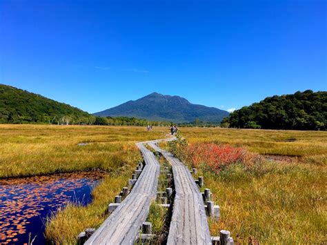 Oze National Park Autumn Trekking Trip - Tokyo Gaijins