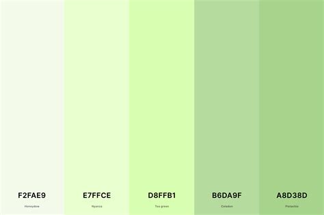 35+ Best Green Color Palettes with Names and Hex Codes – CreativeBooster