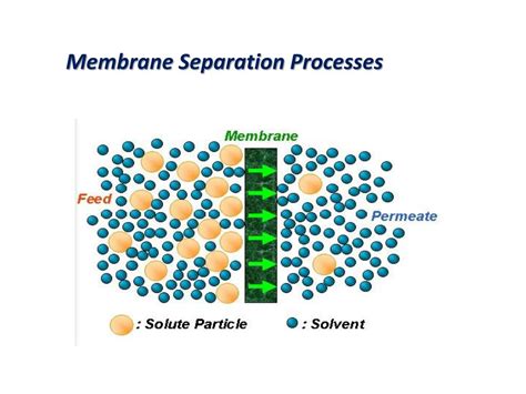 PPT - Membrane Separation Processes PowerPoint Presentation, free ...