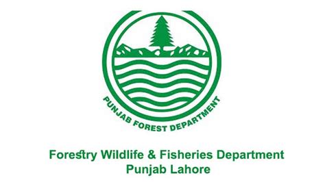 Forestry Wildlife & Fisheries Department Punjab Lahore Jobs 2020 Latest