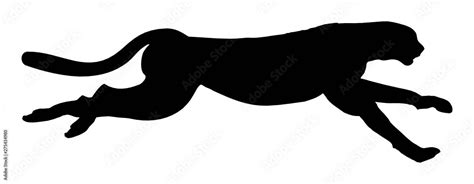 High quality vector illustration running cheetah silhouette isolated on ...