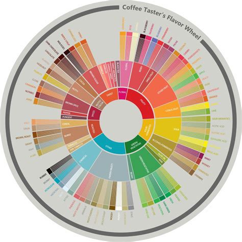 Coffee Pairings and the Flavor Wheel | Selling Coffee Online