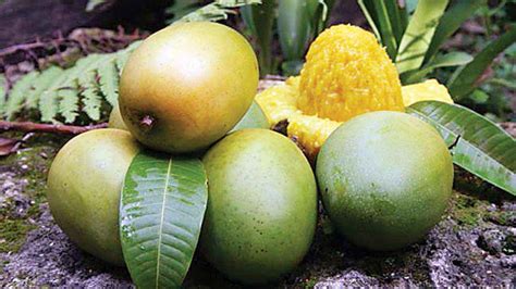 Mango Season: The Best Place to Buy Mangoes in India