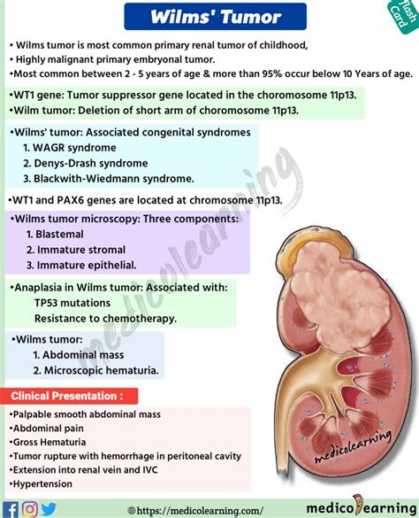 Wilms’ Tumour – MedicoLearning