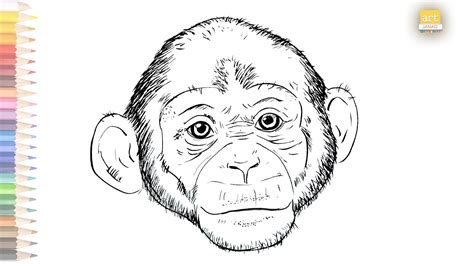 Realistic Monkey Drawing