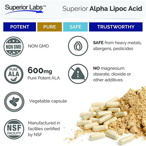 Alpha Lipoic Acid Supplement | 600 mg | Superior Labs