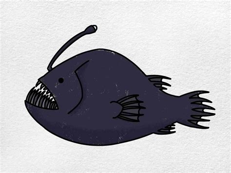 Angler Fish Drawing - Willis Arsencon