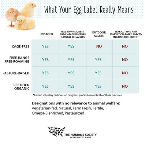 A chart from the Humane Society meant to help distinguish egg carton ...