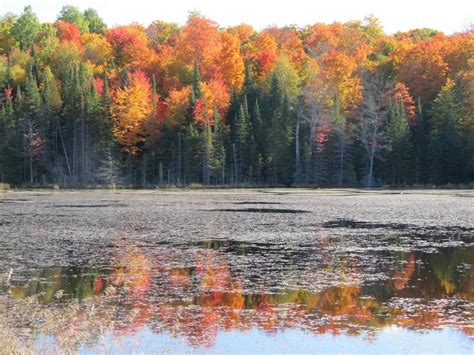 Fall Colours Lake – Canoe FM