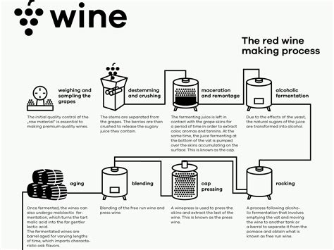 Wine Infographic, Infographics, Wine Making Process, Red Wine, Initials ...