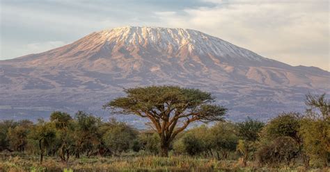 Majestic views of Mount Kilimanjaro