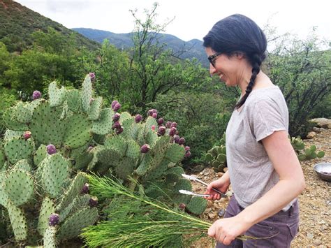 Harvesting Prickly Pear Fruit - autumn makes and does