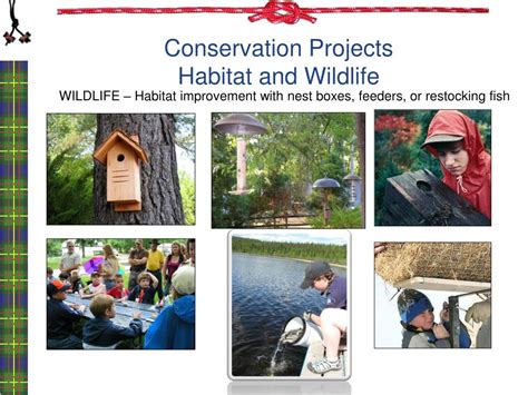 PPT - Conservation Project Planning PowerPoint Presentation, free ...