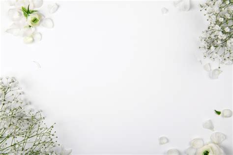 Tổng hợp 222 White background with flowers Hoàn toàn miễn phí để tải xuống