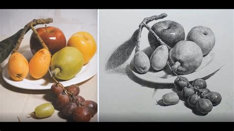 Lip Drawing Reference Fruit The most common drawing reference material ...