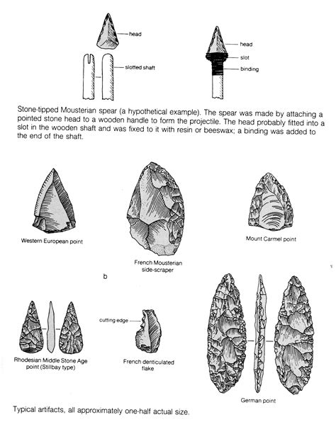 Paleolithic Age Tools Drawing