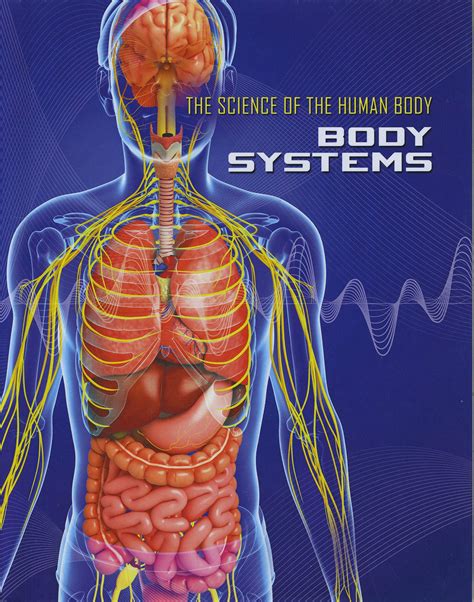 Human Body System Interactions | 2.6K plays | Quizizz